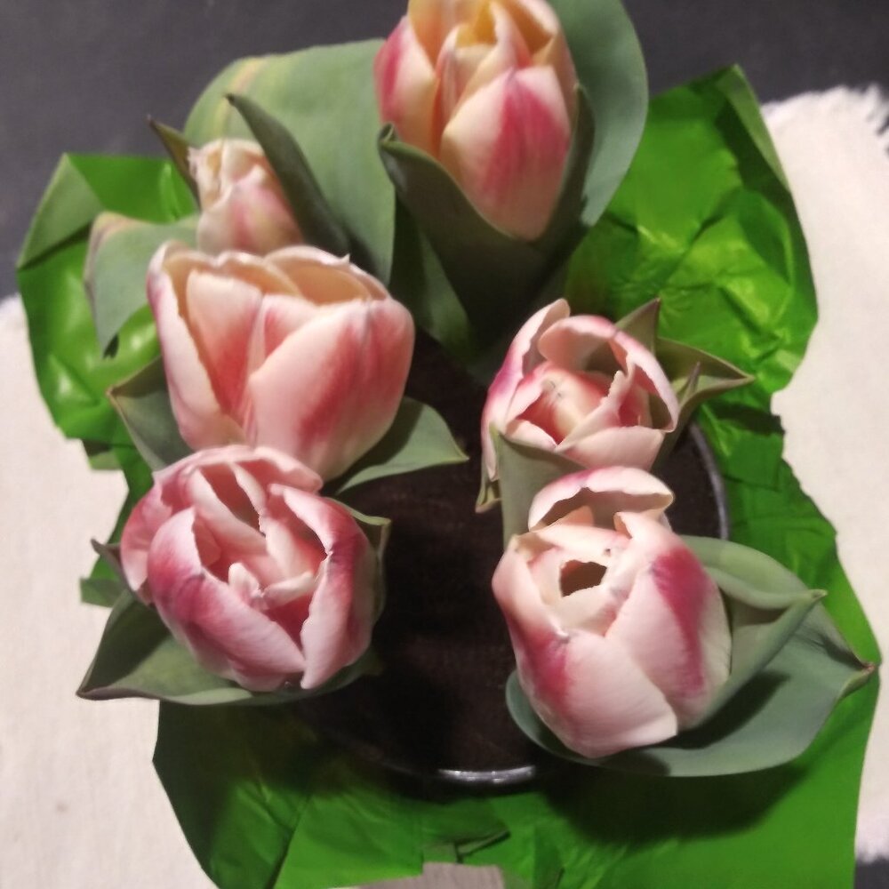 Meet your Posher, Charla